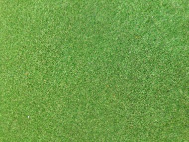 Çimlerin yeşil bir zemini ve biraz da otları var..