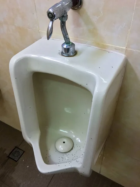 Urinol Está Instalado Banheiro Dos Homens — Fotografia de Stock