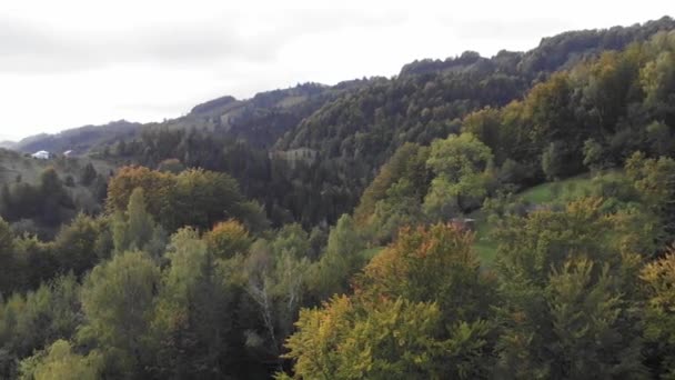 Mariage Dans Les Montagnes Automne Mariée Montagne Montagne Automne — Video