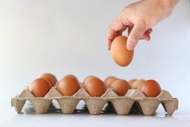 Kağıt yumurta panelindeki yumurtalar beyaz arka plandaki yumurtayı alıyor..