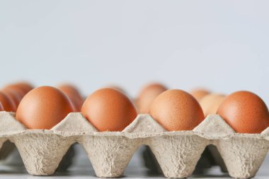 Beyaz arka planda kağıt yumurta paneli.