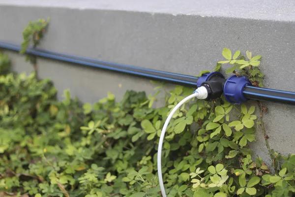 Connection Points Automatic Watering Plants — Stockfoto