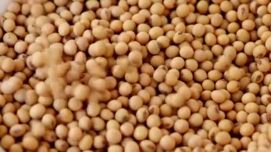 Yığının üzerine dökülen soya fasulyesi yığını..