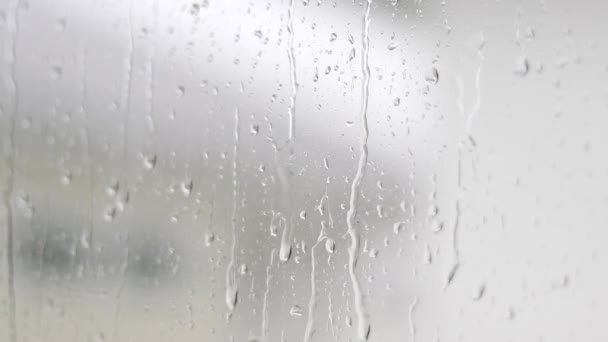雨倾泻在窗玻璃上 — 图库视频影像