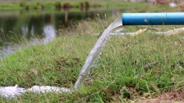 Вода Вытекающая Трубы Природный Источник Воды — стоковое видео
