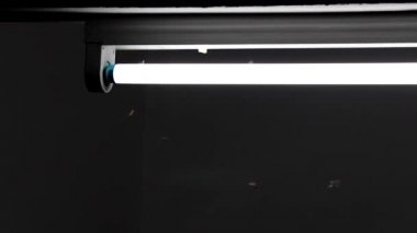 Güveler floresan ışıklarının etrafında uçuyor..