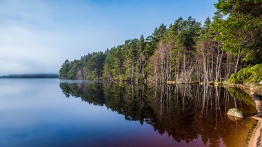 Loch Garten yansımaları