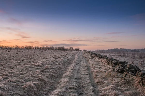 Footpath at sunrise through frosty field — Stock Photo, Image