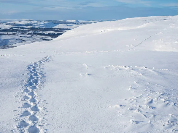 Footprints in snow — Stock Photo, Image