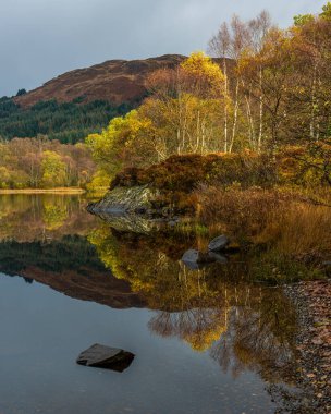 Reflections sonbahar