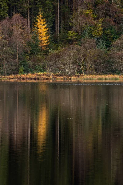 Colorful Autumn Trees Reflections Loch Chon Scottish Highlands — Stock Photo, Image