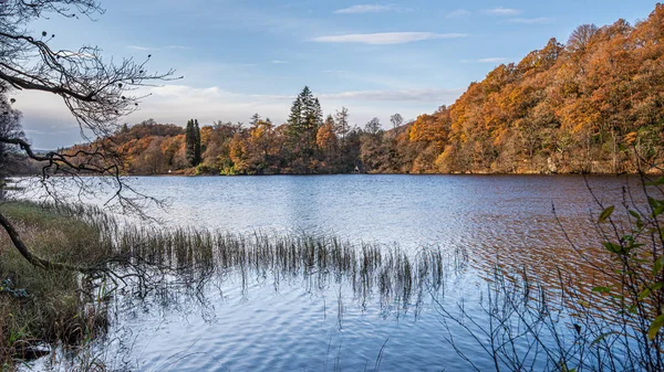 Herbst auf dem Bauernhof — Stockfoto