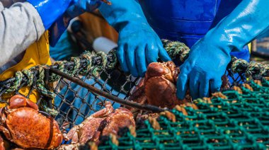 Crab Fishermen