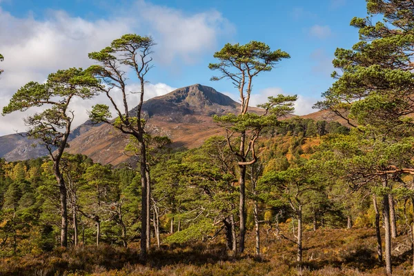 Sgurr na Lapaich en Glen Affric —  Fotos de Stock