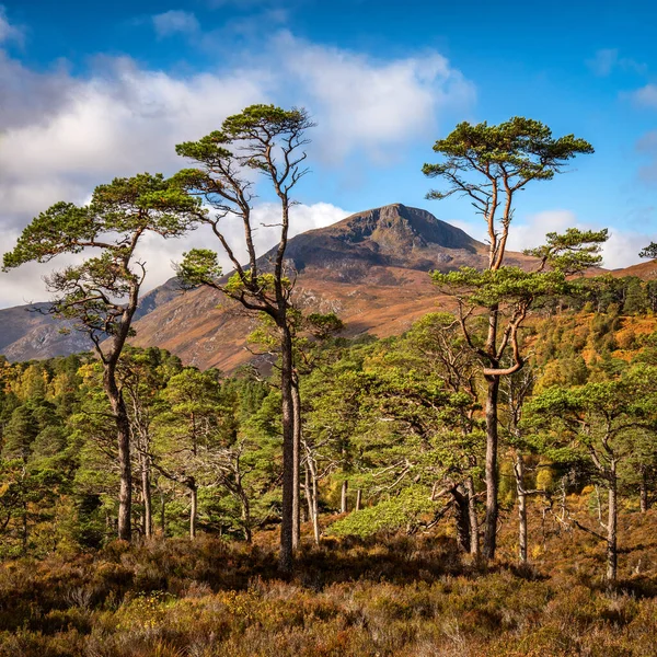 Sgurr na Lapaich en Glen Affric, Escocia —  Fotos de Stock