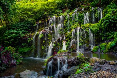 Tropikal ormandaki şelalede genç bir gezgin kadın. Arkadan bak. Banyu Wana Amertha Şelalesi Wanagiri, Bali. Yavaş deklanşör hızı, hareket fotoğrafçılığı.