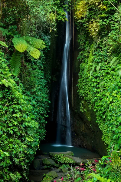 Waterfall landscape. Beautiful hidden Leke Leke waterfall in Bali. Waterfall in tropical rainforest. Slow shutter speed, motion photography. — Stock Photo, Image