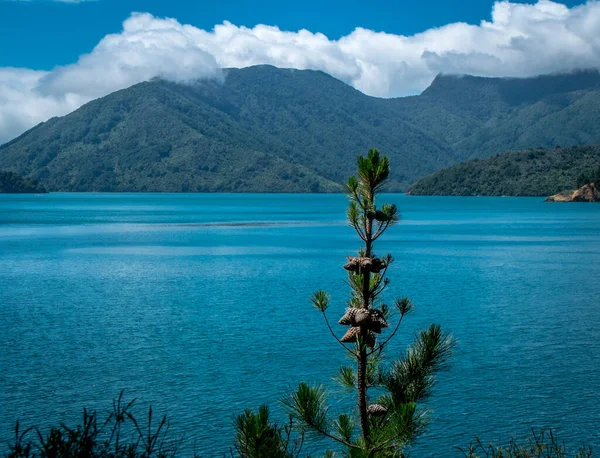 Tájkép óceánnal, hegyekkel és fákkal. Tasman Bay, Nelson körzet, Új-Zéland — Stock Fotó