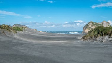 Sand dunes covered by green grass and ocean, Nelson Area, New Zealand