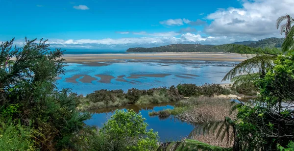 썰물 때 대양 만으로 요. Tasman Bay, Nelson area, New Zealand — 스톡 사진