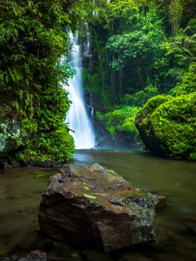 Şelale manzarası. Tropikal yağmur ormanlarında güzel gizli şelale. Orman Nehri. Macera ve Asya'ya seyahat. Sambangan, Bali Cemara şelale. Yavaş deklanşör hızı, hareket fotoğrafçılığı.