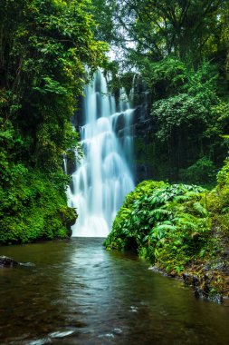 Şelale manzarası. Tropikal yağmur ormanlarında güzel gizli şelale. Orman Nehri. Macera ve Asya'ya seyahat. Sambangan, Bali Cemara şelale. Yavaş deklanşör hızı, hareket fotoğrafçılığı.