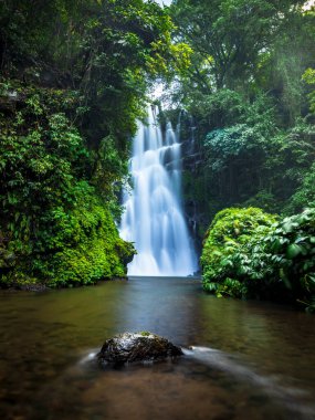 Şelale manzarası. Tropikal yağmur ormanlarında güzel gizli şelale. Orman Nehri. Macera ve Asya'ya seyahat. Sambangan, Bali Cemara şelale. Yavaş deklanşör hızı, hareket fotoğrafçılığı.