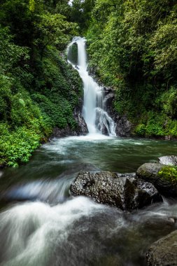Şelale manzarası. Tropikal yağmur ormanlarında saklı güzel bir şelale. Orman nehri. Macera ve Asya 'ya seyahat. Sambangan, Bali 'de Dedari şelalesi. Yavaş deklanşör hızı, hareket fotoğrafçılığı.