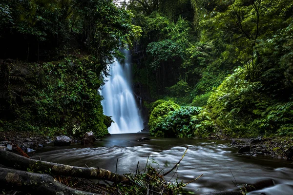 Waterfall landscape. Beautiful hidden waterfall in tropical rainforest. Jungle river. Adventure and travel to Asia. Cemara waterfall in Sambangan, Bali. Slow shutter speed, motion photography.