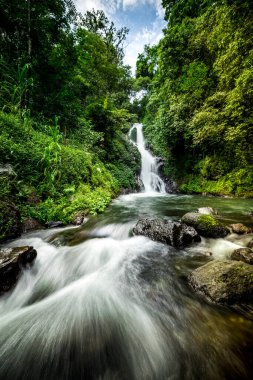Şelale manzarası. Tropikal yağmur ormanlarında saklı güzel bir şelale. Orman nehri. Macera ve Asya 'ya seyahat. Sambangan, Bali 'de Dedari şelalesi. Yavaş deklanşör hızı, hareket fotoğrafçılığı.