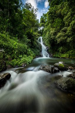 Şelale manzarası. Tropikal yağmur ormanlarında saklı güzel bir şelale. Orman nehri. Macera ve Asya 'ya seyahat. Sambangan, Bali 'de Dedari şelalesi. Yavaş deklanşör hızı, hareket fotoğrafçılığı.