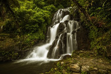 Şelale manzarası. Tropikal yağmur ormanlarında saklı güzel bir şelale. Orman nehri. Macera ve Asya 'ya seyahat. Ambengan, Bali 'de Jembong şelalesi. Yavaş deklanşör hızı, hareket fotoğrafçılığı.