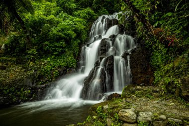 Şelale manzarası. Tropikal yağmur ormanlarında saklı güzel bir şelale. Orman nehri. Macera ve Asya 'ya seyahat. Ambengan, Bali 'de Jembong şelalesi. Yavaş deklanşör hızı, hareket fotoğrafçılığı.