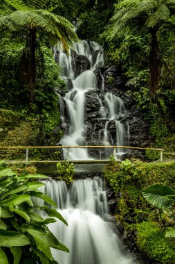 Şelale manzarası. Tropikal yağmur ormanlarında saklı güzel bir şelale. Orman nehri. Macera ve Asya 'ya seyahat. Ambengan, Bali 'de Jembong şelalesi. Yavaş deklanşör hızı, hareket fotoğrafçılığı.