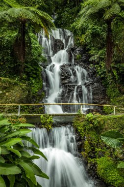 Şelale manzarası. Tropikal yağmur ormanlarında saklı güzel bir şelale. Orman nehri. Macera ve Asya 'ya seyahat. Ambengan, Bali 'de Jembong şelalesi. Yavaş deklanşör hızı, hareket fotoğrafçılığı.