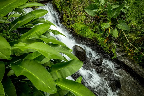 Waterfall landscape. Beautiful hidden waterfall in tropical rainforest. Jungle river. Adventure and travel to Asia. Jembong waterfall in Ambengan, Bali. Slow shutter speed. Foreground with leaves.