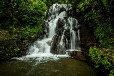 Şelale manzarası. Tropikal yağmur ormanlarında saklı güzel bir şelale. Orman nehri. Macera ve Asya 'ya seyahat. Ambengan, Bali 'de Jembong şelalesi. Yavaş deklanşör hızı, hareket fotoğrafçılığı.