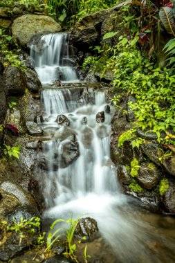 Manzara. Küçük çağlayan şelale. Yavaş su akışı. Tropikal ormanda taşlarla dolu bir dere. Kapama hızı yavaş. Su sıçratıyorum. Doğa geçmişi. Ambengan, Bali 'de Jembong şelalesi.