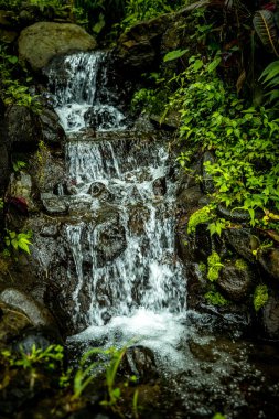 Manzara. Küçük çağlayan şelale. Doğa geçmişi. Hızlı su akışı. Tropikal ormanda taşlarla dolu bir dere. Hızlı deklanşör hızı. Su sıçratıyorum. Ambengan, Bali 'de Jembong şelalesi.
