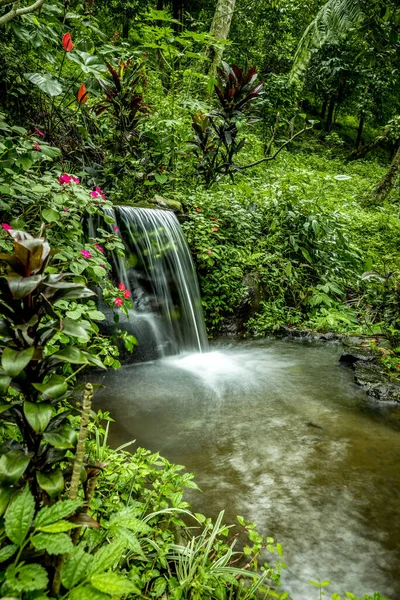 Landscape. Small waterfall cascade surrounded by tropical plants. Nature background. Water flow. Slow shutter speed. Jembong waterfall in Ambengan, Bali.