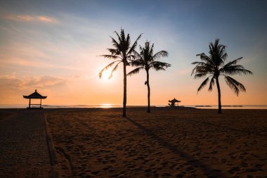 Manzara. Kumlu bir sahilde büyüyen palmiye ağaçları. Güzel bir manzara. Gün doğumu zamanı. Mavi gökyüzü. Nusa Dua Sahili, Bali, Endonezya