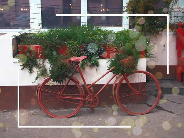 Stylish elegant red bike with a basket of flowers in the Luggage basket at the front wheel of the bike standing against the concrete wall