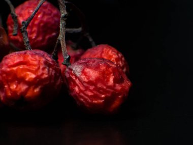 Siyah arka planda gevşek makro Rowan meyveleri. Sonbahar. Web sitenizde, blogunuzda ya da sosyal medyanızda başlık ya da afiş olarak kullanılabilir.
