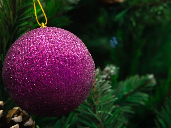 Vánoční Fialová Lesklá Koule Visící Zelené Větvi Stromu Světla Věnce — Stock fotografie