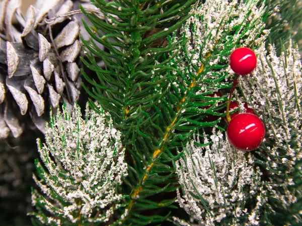 Cono Ramo Abete Verde Sotto Neve Natale Felice Anno Nuovo — Foto Stock