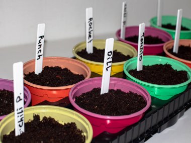 fidanlı saksılar. Toprağa saplanmış bitkinin adı yazan bir etiket. Etiketteki harfler