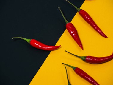 Chilli pepper on the black background. empty space for your text. blank for designers