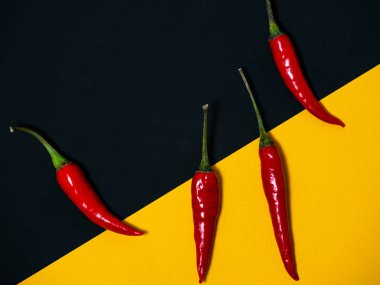 Chilli pepper on the black background. empty space for your text. blank for designers