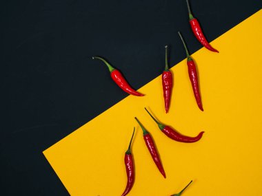 Chilli pepper on the black background. empty space for your text. blank for designers