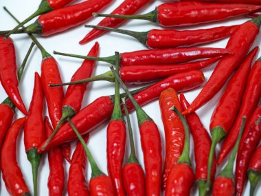 Chilli pepper on the white background. empty space for your text. blank for designers